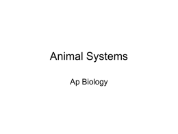 animal structure,function, development student