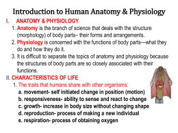 Introduction to Human Anatomy & Physiology