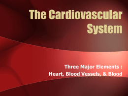 cardiovascular system - PAIS