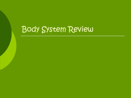 Body System Review
