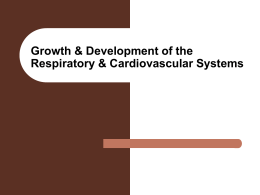 The Growth and Development of the Respiratory, Cardiovascular