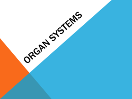 Organ systems