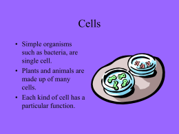 Cells - Doral Academy Preparatory