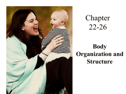 Chapter 22 - TeacherWeb