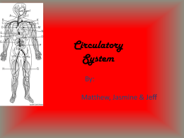 Circulatory - Bingham-5th-2012