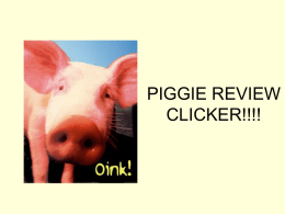 PIGGIE REVIEW