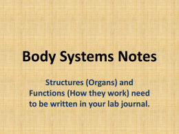 System Notes