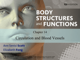 Circulatory System PowerPoint