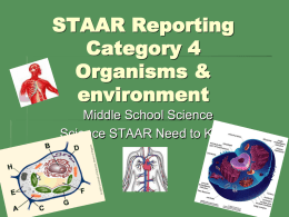 8th_Grade_science_STAAR_Category_4x