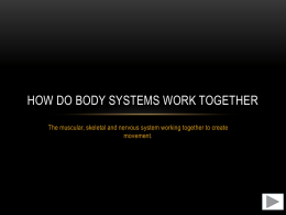How Do Body Systems Work Together
