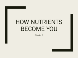Unit 1 How Nutrients Become You