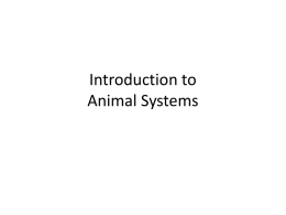 Animal systems ppt - Northwest ISD Moodle