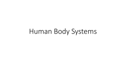 Human Body Systems PPT