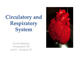 Circulatory/Respiratory System