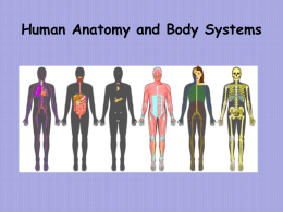 Body Systems Powerpoint