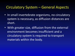 Circulatory System * General Aspects