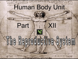 Part_12_Reproductive_Systemx