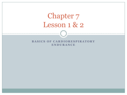 Chapter 7 Basics of Cardiorespiratory