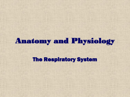 Anatomy and Physiology - Manatee School for the Arts