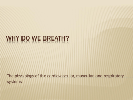 Why Do We Breath?