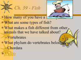 Ch. 33 - Fish