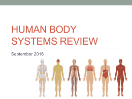 Human Body Review PPTx