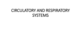 CIRCULATORY AND RESPIRATORY SYSTEMS