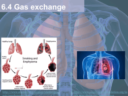 Gas Exchange - cloudfront.net