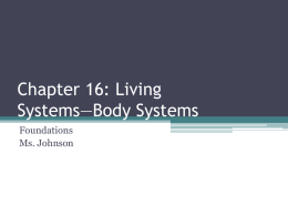Chapter 16: Living Systems*Body Systems