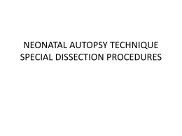 Neonatal Autopsy
