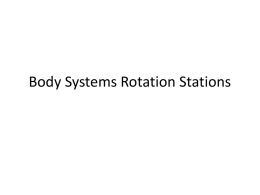 Body Systems Rotation Stations