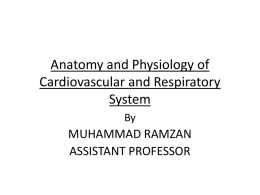 Anatomy and Physiology of Cardiovascular and Respiratory System