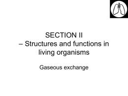 Gas exchange File