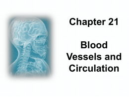 Ch 21 Student_Bloodvessels Lab