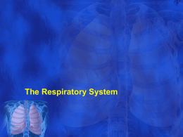 Respiratory-diseases - bloodhounds Incorporated