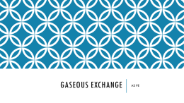 Gaseous Exchange File