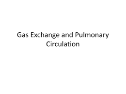 Gas Exchange and Pulmonary Circulation