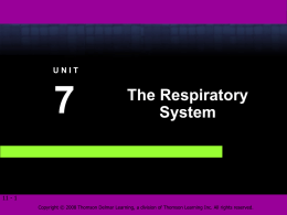 Respiratory Systemx