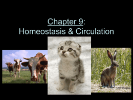 Section 9.1 Notes – powerpoint