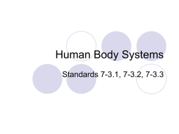 7-3.1, 7-3.2, 7-3.3 Human Body Systems