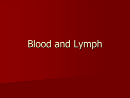 Blood and Lymph - Biology R: 4(A,C)