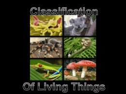 Classification of Living Things PowerPoint File