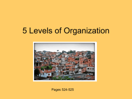 5 Levels of Organization