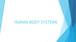 Human Body Systemsx