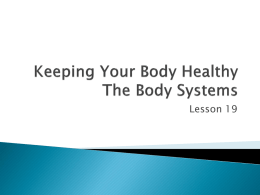 Keeping Your Body Healthy The Body Systems
