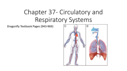 Chapter 37- Circulatory and Respiratory Systems