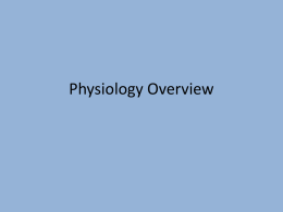 After School Physiology review 2013