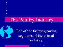 Poultry Notes
