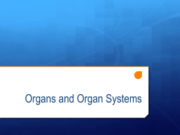 Organs and Organ Systems