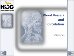Chapter_21_Blood_Vessels